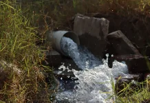 Keterlambatan Musim Tanam Picu Lonjakan Kebutuhan Air Irigasi Sawah Indramayu