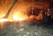 Upaya Cepat Aparat Cegah Kebakaran Lahan Meluas di Majalengka