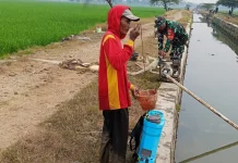 Kekeringan Ancam Sawah Majalengka, Babinsa Kawal Distribusi Air Irigasi