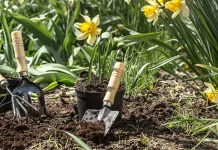 Resep Panjang Umur: Berkebun