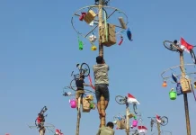 Mengenal Tradisi Seru Lomba Panjat Pinang di Indonesia