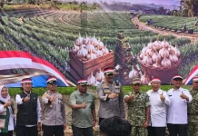 Kejar Swasembada, Majalengka Genjot Bawang Putih lewat Demplot Kementan
