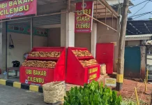 Kisah Ubi Madu Bakar Mba Boled, dari Usaha Keluarga hingga Beromzet Rp300 Juta
