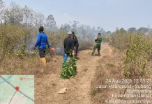 Babinsa dan Warga Gantar Padamkan Kebakaran Lahan Perhutani