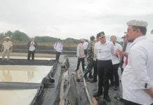 Permodalan dan Akses Jalan Produksi Masih Jadi Kendala Petambak Garam Cirebon