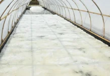 Pemanfaatan Geomembran dan Koperasi Perkuat Ekonomi Petambak Garam Cirebon