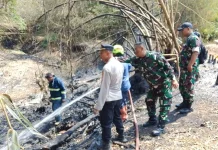Api Mengamuk di Lahan Bambu Majalengka, 2.000 Meter Persegi Hangus Terbakar
