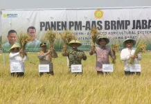 Dandim 0616 Indramayu Hadiri Panen Perdana PM-AAS di Terisi