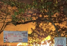 Lahan Kosong Depan Perumahan Griya Caraka Kedawung Terbakar