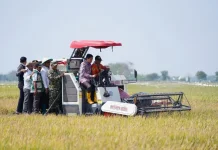 Panen Perdana PM-AAS di Indramayu Capai 10,45 Ton per Hektare