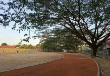 Pemkab Cirebon Siapkan Penataan Lanjutan Stadion Ranggajati pada 2027