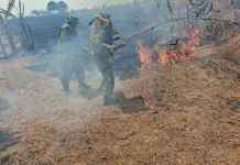TNI dan Perhutani Padamkan Kebakaran Lahan di Cikawung Indramayu