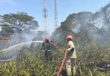 Lahan Pekarangan Terbakar di Kandanghaur, 6 Ribu Liter Air Dikerahkan