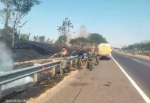 TNI dan Warga Padamkan Kebakaran Lahan Dekat Tol Cipali KM 139