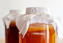 Kombucha, Minuman Fermentasi yang Menyimpan Dunia Mikroorganisme
