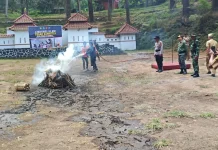 Ratusan Relawan Disiagakan Hadapi Karhutla di Lereng Ciremai