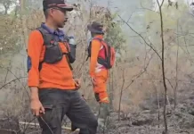 Kebakaran Gunung Ciremai Meluas, Tim Gabungan Lakukan Penyekatan hingga Malam