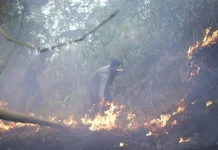 Bupati dan Kapolres Majalengka Turun Langsung Padamkan Api