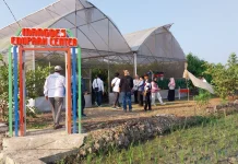Petani Milenial Indramayu Terapkan UHDP dan Greenhouse