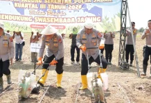 Sekitar 165 Lahan, Ditanami Jagung oleh Petani dan Polda Jabar