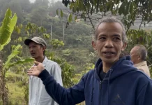 Kelompok Tani Kuningan Kembangkan Kopi Arabika Buana Ciremai