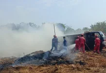 Kebakaran Lahan Warga di Balongan Indramayu, Dump Truck Ludes Terbakar