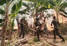 Petugas Gabungan Bergerak Cepat, 5 Hektare Lahan Terbakar di Majalengka