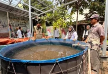 RW 09 Jagasatru Kota Cirebon Kembangkan Kebun, Ikan & Bank Sampah