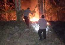 Polsek Gantar Respons Cepat Padamkan Kebakaran Lahan di Tol Cipali KM 125