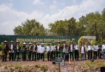 Atasi Defisit Gori, Gunungkidul Kembangkan Hutan Nangka