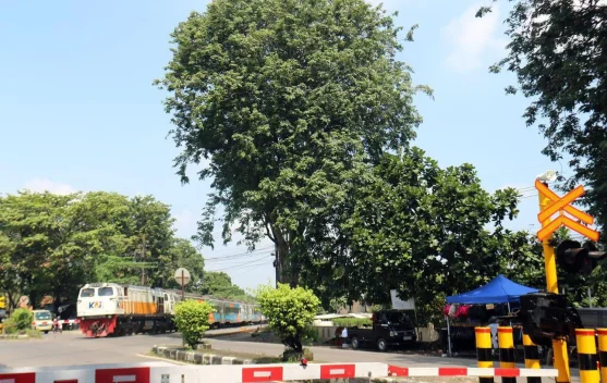 KAI Apresiasi Kesabaran Pengguna Jalan di Perlintasan pada Masa Angkutan Lebaran