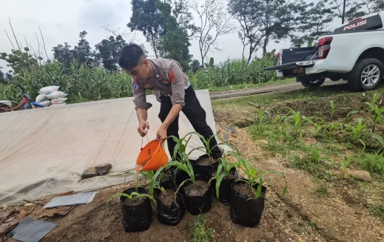 Satlantas Polres Majalengka Tanam Jagung Dukung Swasembada Pangan 2026
