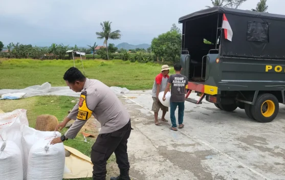 Polisi Turun ke Ladang, Jagung Petani Majalengka Dapat Kepastian Pasar