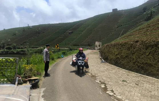Libur Akhir Pekan, Wisata Terasering Panyaweyan Majalengka Dipadati Pengunjung