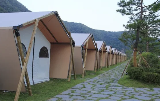 Glamping Jadi Tren Liburan Hemat Anak Muda