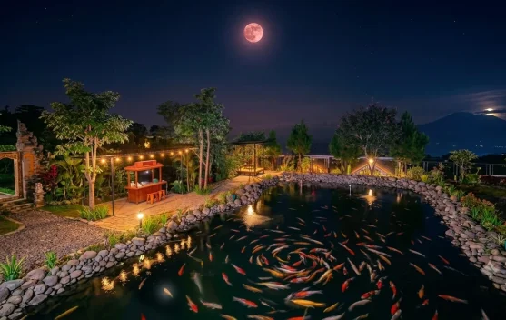 Melewatkan Strawberry Moon? Catat Full Buck Moon 2026, Waktu dan Lokasi Terbaiknya