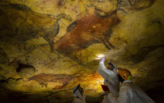 Terungkap, Misteri DNA Purba di Dinding Gua