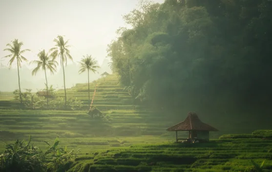 Bantaragung Majalengka Masuk Tiga Besar Sertifikasi Desa Wisata Nasional