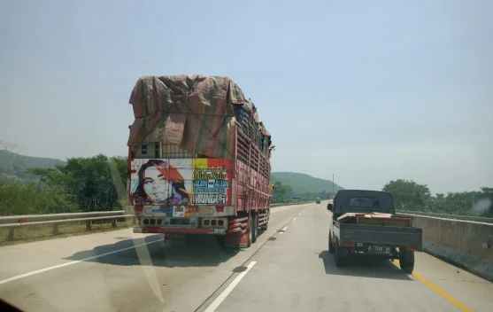 Anatomi Krisis Keselamatan Angkutan Barang dan Ketimpangan Sistemik