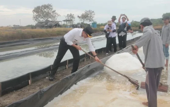 Pemkab Cirebon Prioritaskan Pembangunan Sentra Garam dan Produk Turunannya