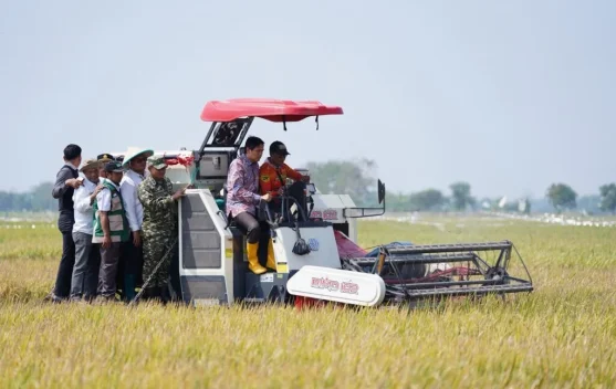 Panen Perdana PM-AAS di Indramayu Capai 10,45 Ton per Hektare