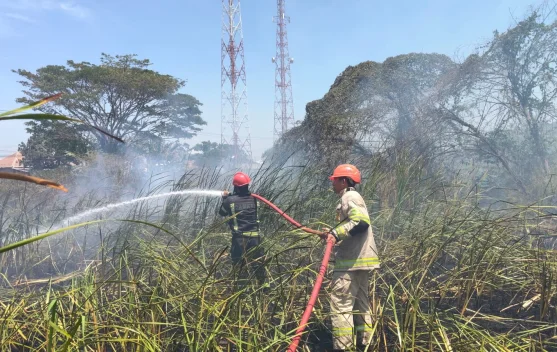 Lahan Pekarangan Terbakar di Kandanghaur, 6 Ribu Liter Air Dikerahkan