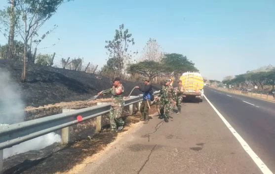 TNI dan Warga Padamkan Kebakaran Lahan Dekat Tol Cipali KM 139
