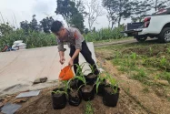 Satlantas Polres Majalengka Tanam Jagung Dukung Swasembada Pangan 2026