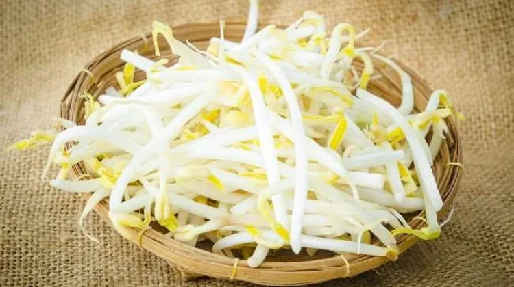 Manfaat Toge atau Kecambah untuk Kesehatan