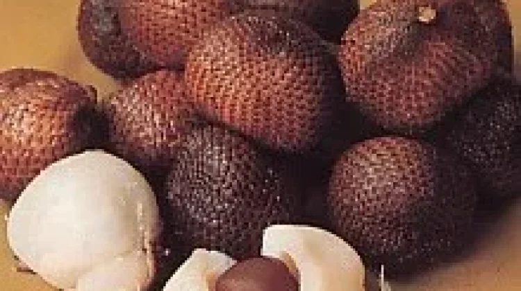 Budidaya Salak Gula Pasir di Desa Padangaji