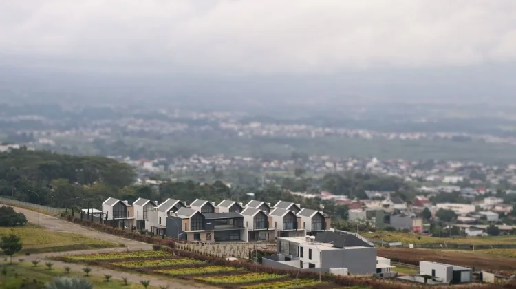 Eksplorasi Kreatif dengan Lensa Tilt-Shift