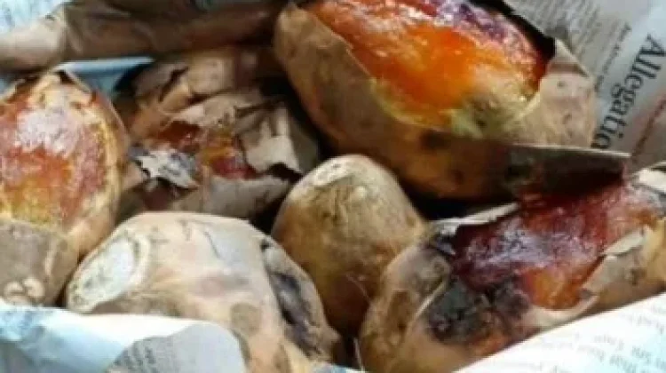 Ini Resep Snack Viral Ubi Cilembu Cheesecake