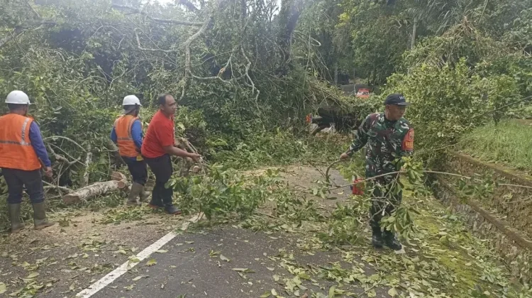 Babinsa Tangani Pohon Tumbang di Jalur Pura Luhur Batukau