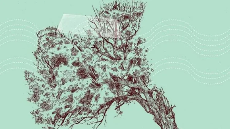 Payung Teduh : Musik Teduh, Rasa yang Berubah